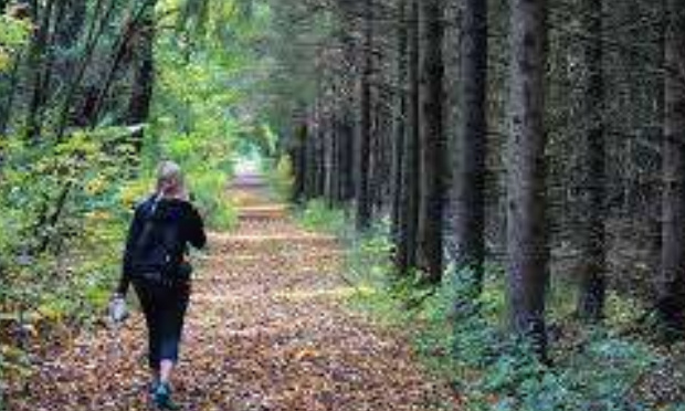 Ré-autorisation de la pratique individuelle des loisirs de plein air (pêche, chasse, cueillette de champignons, promenade, course à pied...)