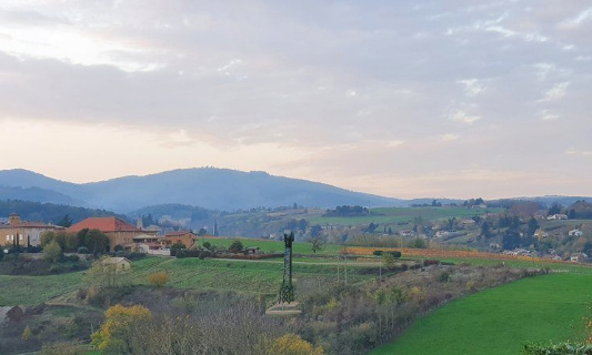 Antenne 4G à Porte des Pierres Dorées, avons-nous le choix ?