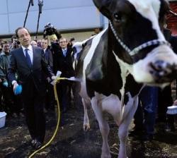 Refusez votre voix aux candidats du PS jusqu'à la révision du statut des animaux en France !