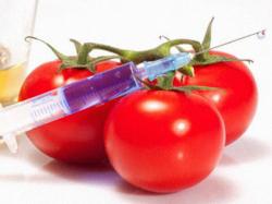 Contre l'accord de partenariat transatlantique !