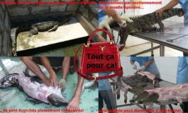LVMH : Stop au saccage du vivant !