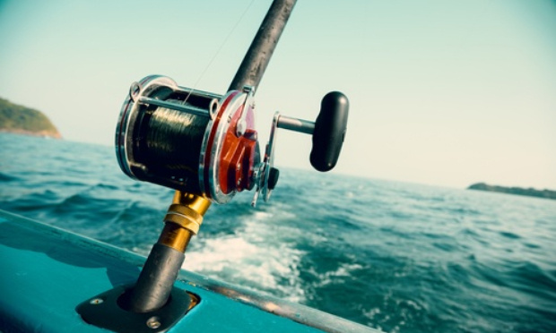 Le monde halieutique en émoi