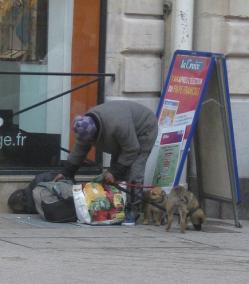 Pour une interdiction de la mendicité avec animaux à Dijon