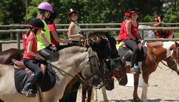 Sauvons le club hippique de Pech David et ses chevaux !