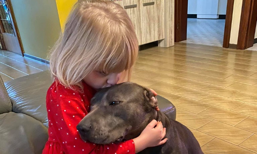 Tous ensemble pour le retour à la maison des chiens de Leslie