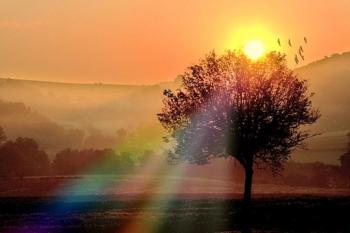 Refusons les changements d'heures en été et en hiver !