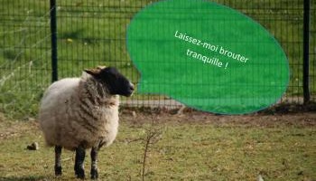 Non à la création d’une aire de stationnement sur la pelouse du Collège Coubertin de Chevreuse !