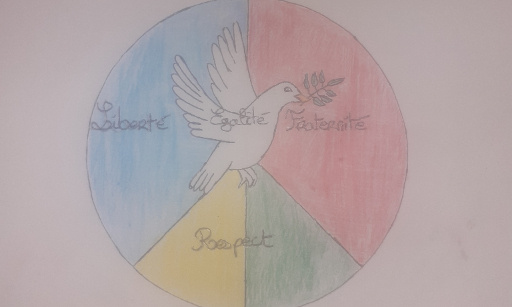 Respect des droits de l'Homme et du citoyen