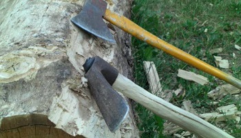 Il massacre son chien à la hache : condamnation exemplaire !