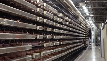 Pour un meilleur débit Internet à Saint-Pair-sur-Mer !