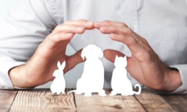 Pour la protection des animaux