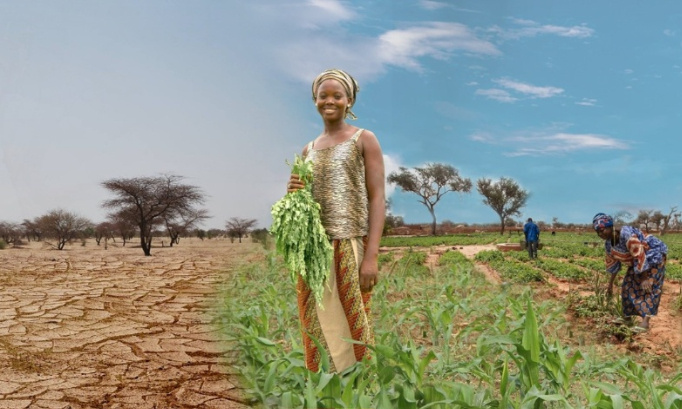 Agir aujourd’hui contre la désertification pour prévenir le pire demain.