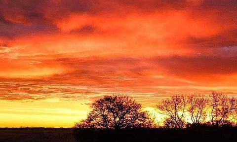 Un vaccin VRAIMENT pas obligatoire , donc un vaccin pas exigé .