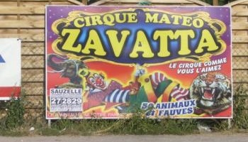 Les lionnes du cirque Matéo Zavatta maltraitées