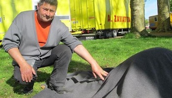 Une ânesse de cirque tuée, un âne jeté dans les douves : les autorités doivent s’emparer du sujet !