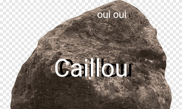 P&eacute;tition pour que Nathan me donne le seul et unique (voir exception) titre caillou (de couleur gris) du Discord