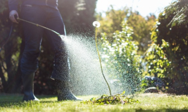 Non à l'interdiction du glyphosate sans produits de substitution à efficacité et prix égal !