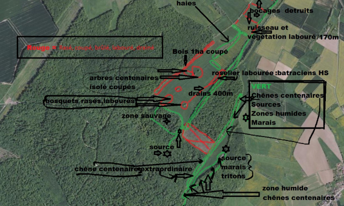 Ecocide zone humide sauvage