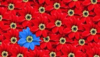 Une seconde chance pour les adultes autistes asperger