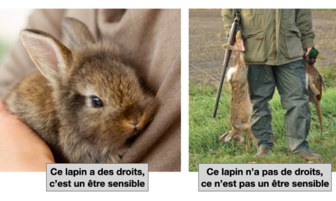 Pour l'extension du statut juridique 