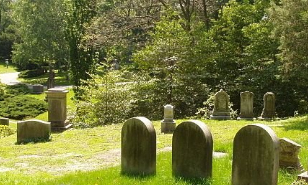 Pour la végétalisation des cimetières