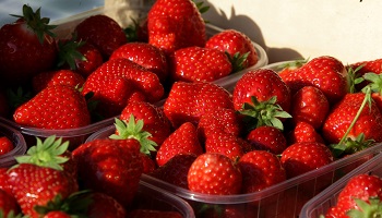 Pour que les producteurs puissent vendre leur récolte chez eux !