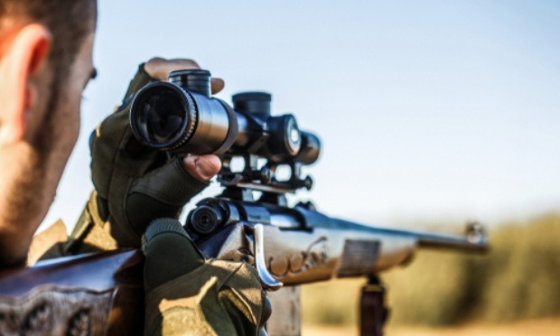 R.I.P : pour l'abolition de la chasse !