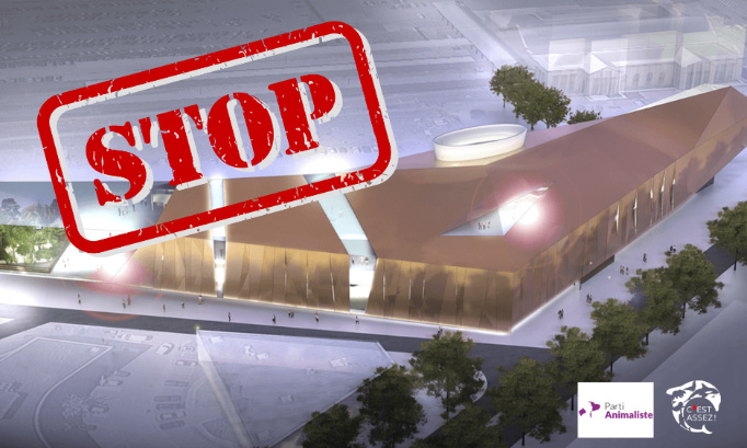 Stop à la mode des aquariums au détriment des océans !