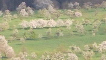 Contestation du jugement du tribunal paritaire des baux ruraux