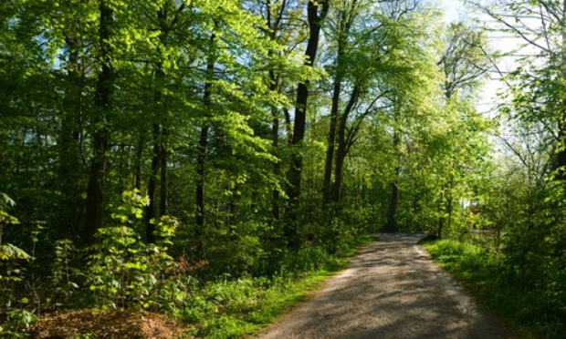 Entretien du chemin rural de Trompe-souris
