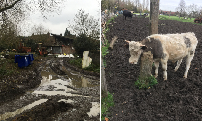LA FERME DE L'HORREUR