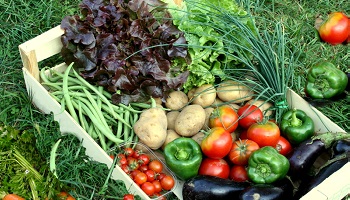 Réorienter la politique agricole commune vers les circuits-court et les AMAP