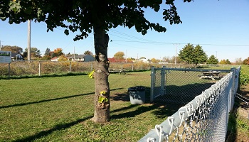 Pour l'obtention d'un parc à chiens à Métabetchouan-Lac-à-la-Croix