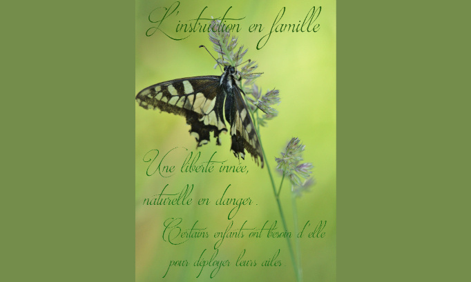 Lettre ouverte pour le maintien de l'école à la maison en régime déclaratif