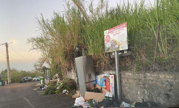 Demande de mesures contre les dépôts sauvages à la Réunion
