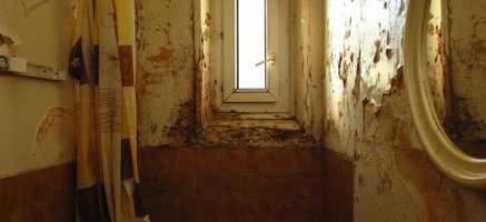 Pour un relogement décent en Maine-et-Loire