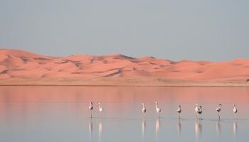 Non à l’exploration et la fracturation du gaz de schiste dans le Sahara algérien !