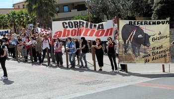 Pour le droit de manifester contre les corridas !
