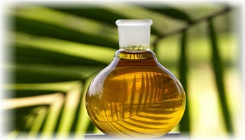 L'huile de palme et ses conséquences négatives