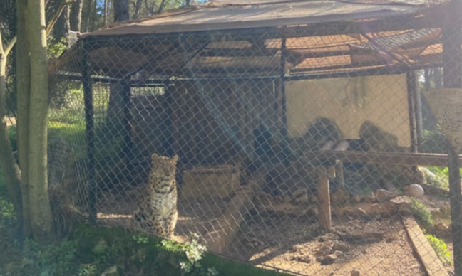 Mobilisation internationale contre le zoo du Mont-Faron !