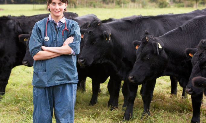 Accès au concours des ENV post-bac pour les TSTL