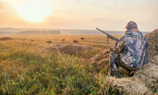 Stop à l'inondation des sondages nuisibles à la chasse traditionnelle