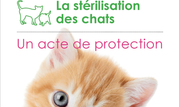 Que les campagnes de stérilisation soient réalisées