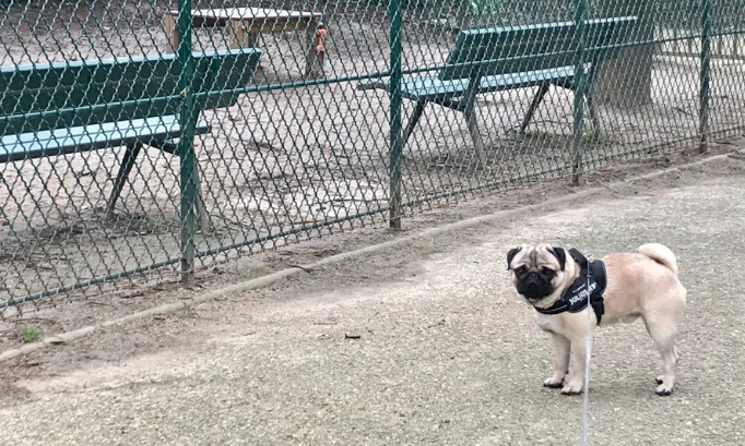 Votons pour la réouverture du Parc Canin Saint Éloi