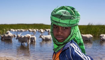 Stop aux accaparements de terres au Sénégal !