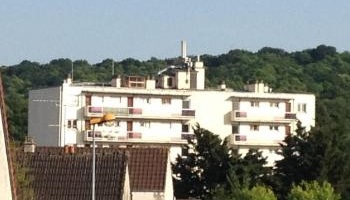 Halte au massacre illégal des pigeons ordonné par la Mairie de Viroflay