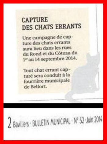 Non à la campagne de capture des chats errants à Bavilliers !