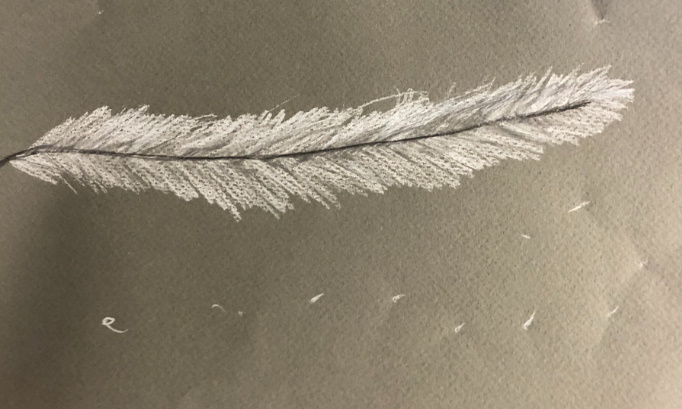 Réforme de l’aide sociale à l’enfance. Placements abusifs . #MeTooASE