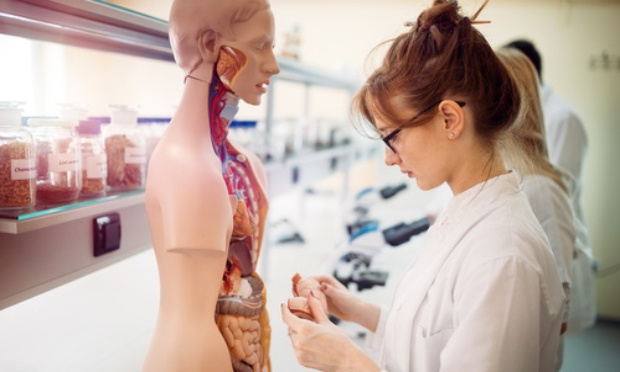 Des études qui se veulent humaines ?