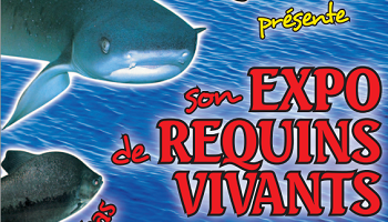 Exposition-spectacle de requins et d'otaries